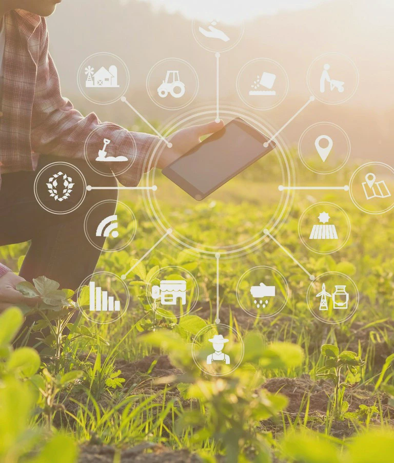Rolnik trzymający tablet na&nbsp;polu uprawnym, otoczony ikonami nowoczesnego rolnictwa