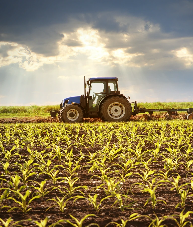 Traktor na&nbsp;polu